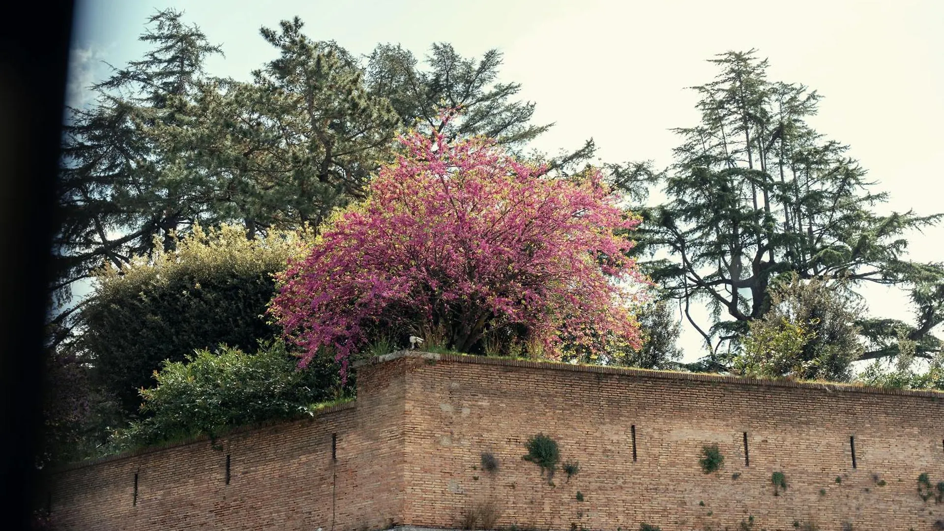 Art House Vaticano Luxury Apartment Roma