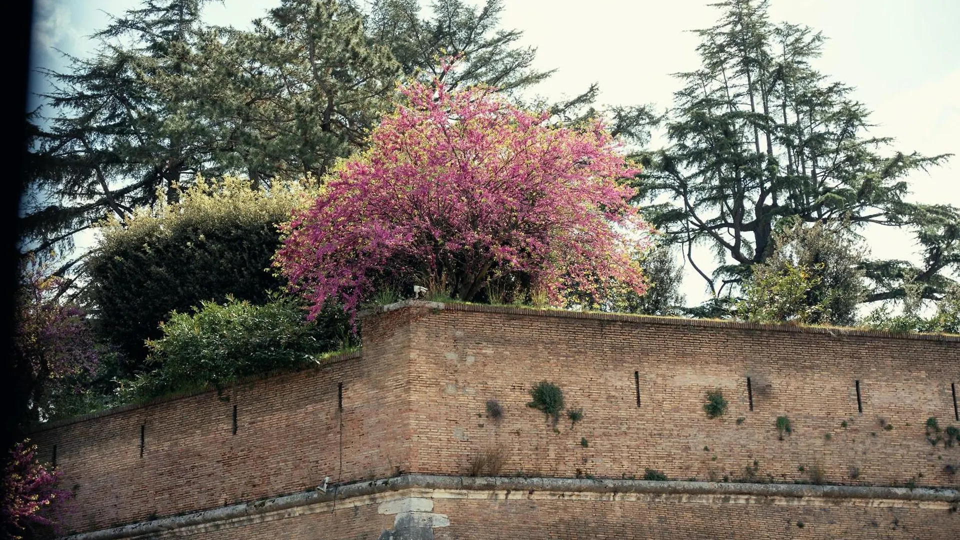 Art House Vaticano Luxury Apartment Roma 0*,